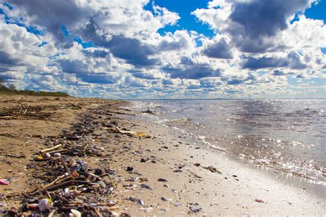 Garbage Island The Great Pacific Garbage Patch Yale Environment Review