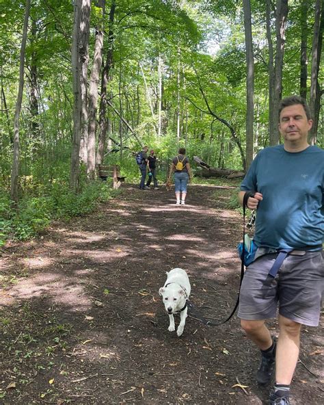 7 Benefits of Exercise for Dogs - Milwaukee Paws Pet Care