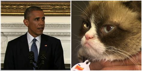 Obama Compares Republicans To ‘grumpy Cat Wttv Cbs4indy