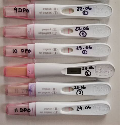 Digital Pregnancy Test False Negative Hot Sex Picture