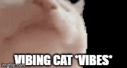 Vibing Cat Imgflip