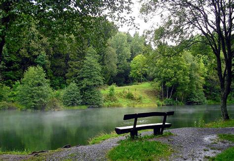 Hd Wallpaper Brown Wooden Bench In Front Of River Nature Lake Bank