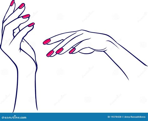 Woman S Hands Stock Vector Illustration Of Beautiful 19378428