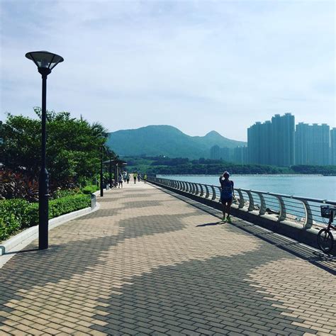 Ocean park hong kong, a theme park that offers roller coaster rides, shows, tours, family & kids attractions and activities. 5 Hong Kong Cycling Trails So You Can Feast On Dim Sum And Still Be Fit