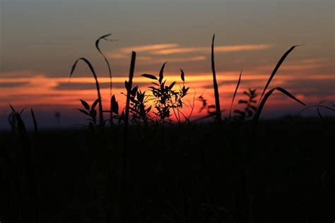 картинки пейзаж природа горизонт силуэт небо Восход закат