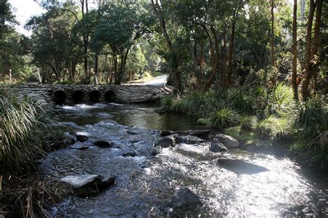 The kabi indigenous people are the traditional custodians of the caboolture river catchment area. caboolture river (2) | caboolture river | bertknot | Flickr