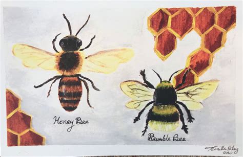 Honey Bee Vs Bumble Bee Art Print Etsy