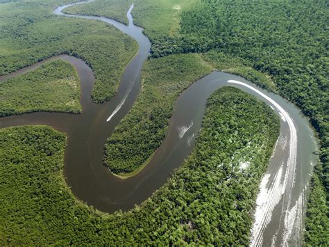 Breve Historia Sobre El Río Amazonas Viajes Del Perú Travel Blog