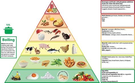 Phosphorus Pyramid For Ckd Provides Diet Advice Renal And Urology News