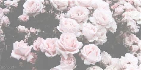 See more ideas about youtube banner backgrounds, twitter header, twitter header aesthetic. twitter headers ∞ | Twitter cover photo, Cute twitter ...