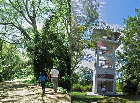 The kuala selangor nature park (ksnp; Kuala Selangor Nature Park - Emila Yusof (Emilatopia)