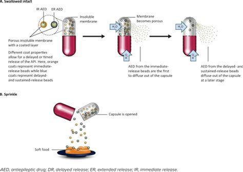 A Clinicians Guide To Oral Extended Release Drug Delivery Systems In