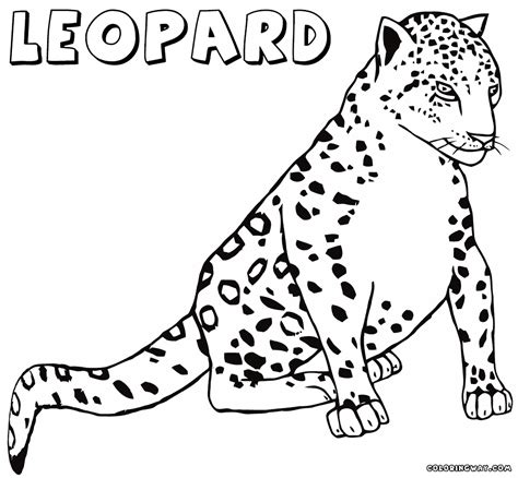 Find all the coloring pages you want organized by topic and lots of other kids crafts and kids activities at allkidsnetwork.com. Leopard coloring pages | Coloring pages to download and print