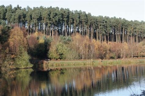 Cannock Chase Park Pictures Cannock Staffordshire