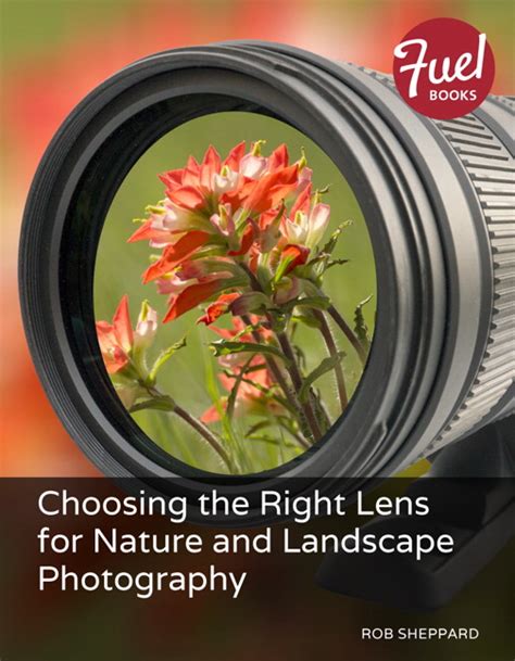 Choosing The Right Lens For Nature And Landscape