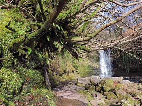 Photographs Of The Caerfanell Waterfalls Powys Wales Protruding Branches