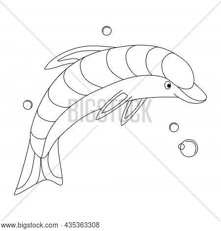 Dolphin Cute Cartoon Vector Photo Free Trial Bigstock
