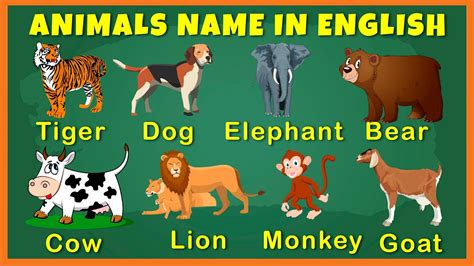 Animals Name Learn Animals Names For Kids Animals Names In English