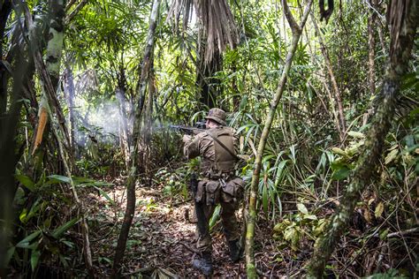Jungle Is Massive The British Army