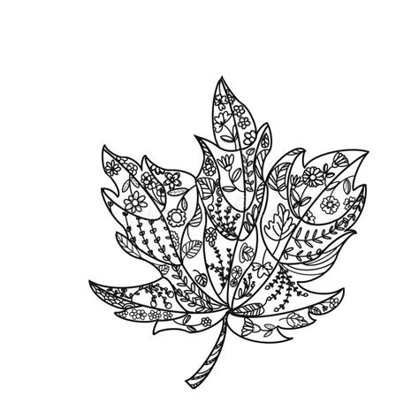 Doodle Tropical Flower Maples Leaves Stock Illustration Illustration