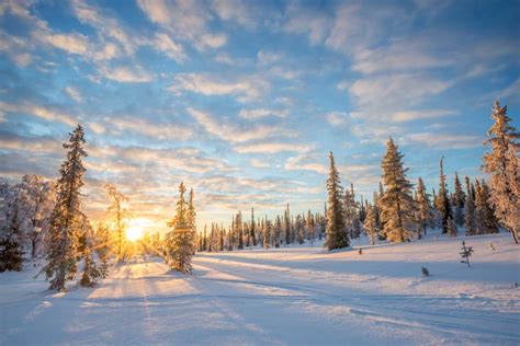 A Local Guide To Exploring Finland