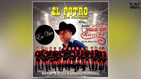 El Potro De Sinaloa En Vivo Con Banda La Unica De Rancho Disco Completo