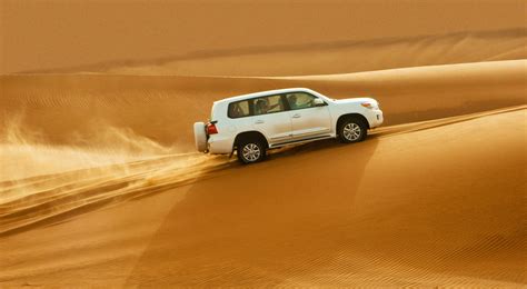Enjoy Desert Safari In Dubai With Seaman Tours