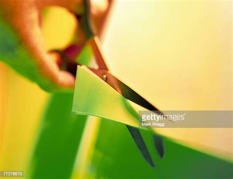 Paper Cut Finger Photos And Premium High Res Pictures Getty Images