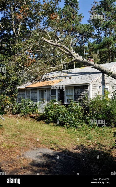 House Fallen Tree Hi Res Stock Photography And Images Alamy