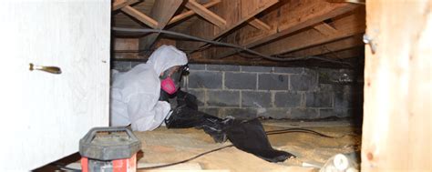 Dirt crawlspaces are unhealthy for you & your home. Crawl Space Mold Removal NJ | Professional South Jersey ...