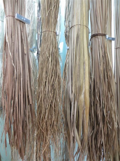 Ethnoscopes Tracks Of An Anthropologist Straw Plant Handicraft Museum