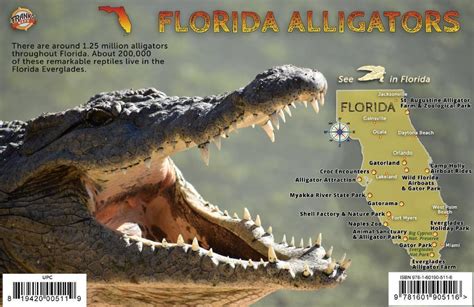Florida Alligators Guide Card Franko Maps