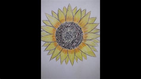 Dufilet Desene In Creion Cu Floarea Soarelui