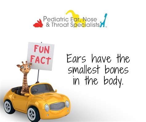 Pediatric Ear Nose And Throat Specialists Home