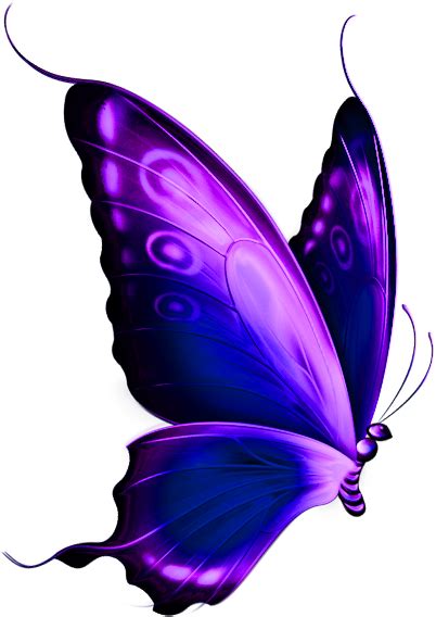 Transparent Blue And Purple Deco Butterfly Png Clipart Transparent