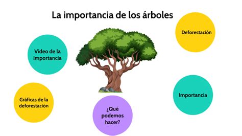 Details 47 cual es la importancia de los árboles Abzlocal mx