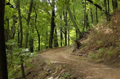 The park preserves the restored 1844 army military outpost, fort wilkins, which was placed on the national register of historic places in 1970. Saugatuck Dunes State Park; Saugatuck, MI -- lots of ...
