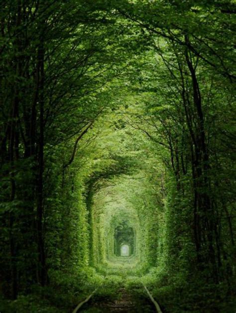 A Few Of Natures Many Magical Places Around The World 38 Pics
