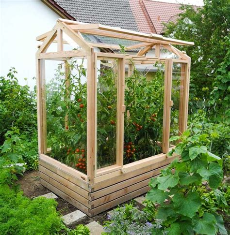 Tomatenhaus das besondere Gewächshaus von Gartenfrosch Small