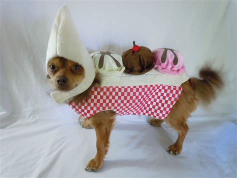 Life On Bellair Costumes For Dogs Banana Split Costumes Banana