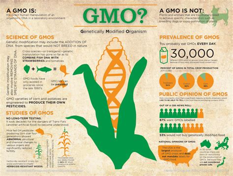 Insect resistance some gmo foods have been modified to make them more resistant to insects. GMO? Genetically Modified Organism | Visual.ly