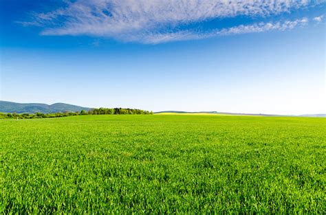 Green Field And Blue Sky Free Photo On Barnimages