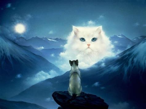 Pin By Patricia Venable On Mystical Things Cat Portraits Cat