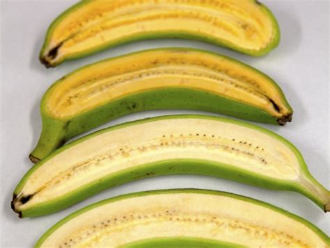 Scientists Create Super Banana To Combat Vitamin A Deficiency Deaths