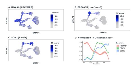 Is Single Cell Epigenomics Right For Me Atac Ing Your Research