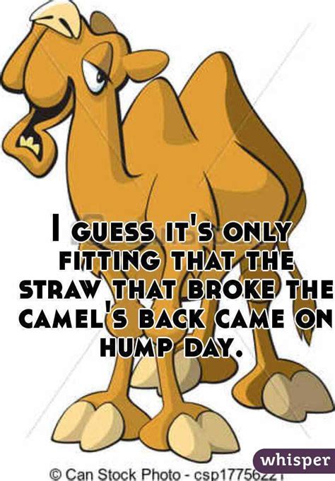 i guess it s only fitting that the straw that broke the camel s back came on hump day