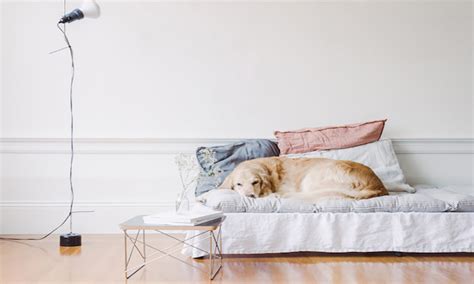 Choose from contactless same day delivery, drive up and more. Best Daybed Mattress In 2020 - insightful-reviews