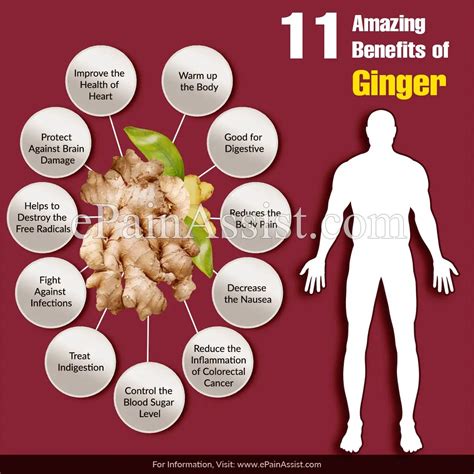 11 Science Backed Health Benefits Of Eating Ginger Everyday How To Ripe