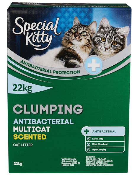 Kitty kat is off to the capital city of the u.s.a. Special Kitty Clumping Antibacterial Multicat CAT Litter ...