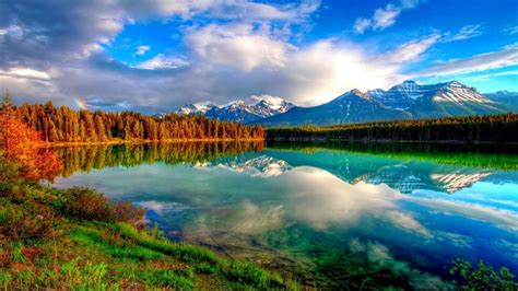 Amazing Nature Wallpapers Top Free Amazing Nature Backgrounds